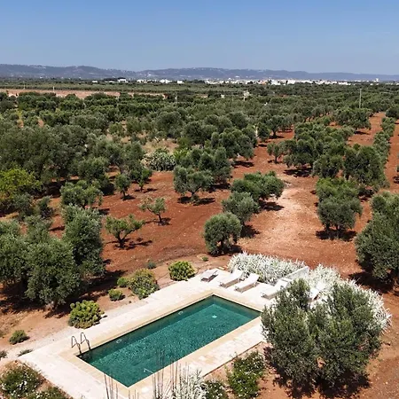 Td Torretta Macrame Amid The Mediterranean Scrub فاسانو